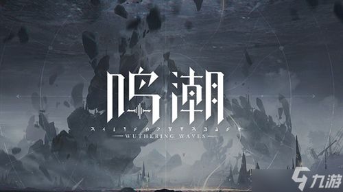 鸣潮这一热门游戏究竟是由哪家公司开发的？深入探讨其背后的公司背景与团队