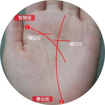 探索手相命运线的奥秘：如何通过手掌读懂你的人生轨迹与未来发展潜力