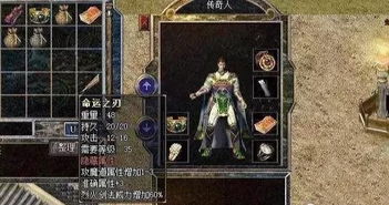 揭秘神秘文化传承：圣裁之刻，揭秘古老仪式与传奇命运的神秘秘密
