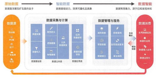 2023澳门正版天天彩|全面数据解释落实_感受款.3.586