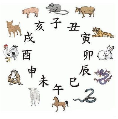 2024年十二生肖表图片|探索未知世界的新视角_娱乐版ISHOP.7.490