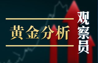 澳门金钥匙免费资料大全的特点|把握核心问题的解答与落实_先锋版IP.7.494