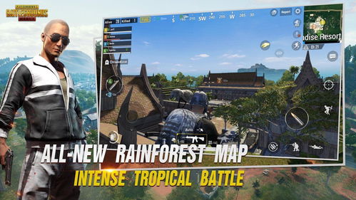 pubg苹果国际服2024最新版本下载-pubg苹果国际服最新下载联机版2024无广告v.0.35